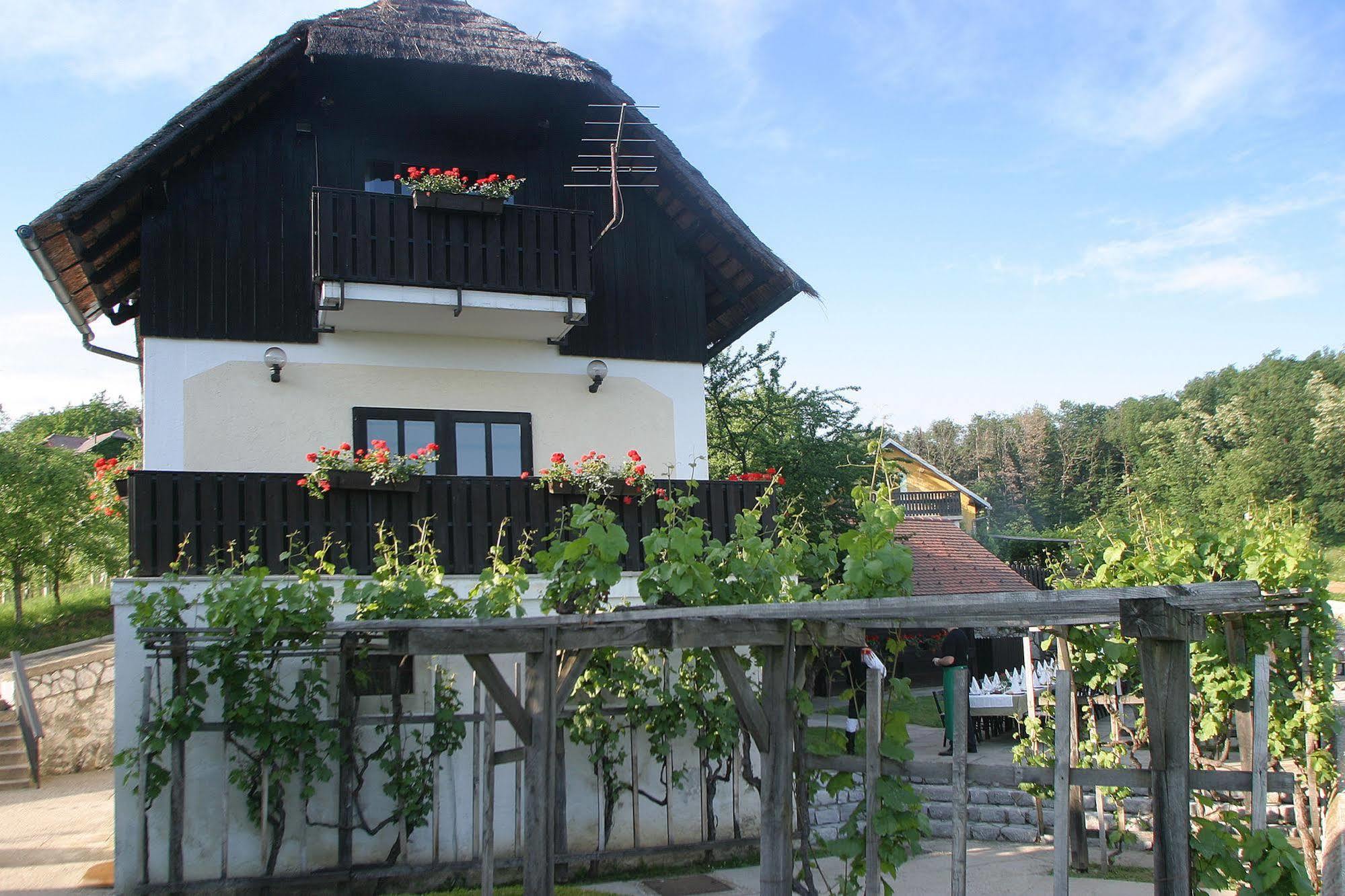 Hotel Krka - Terme Krka Novo Mesto Bagian luar foto